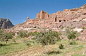 Petra - the Wadi Abu Ullaiqa 